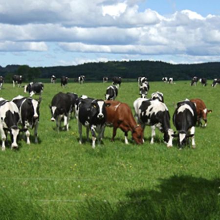 Wapnoe Gardshotell Halmstad Zewnętrze zdjęcie